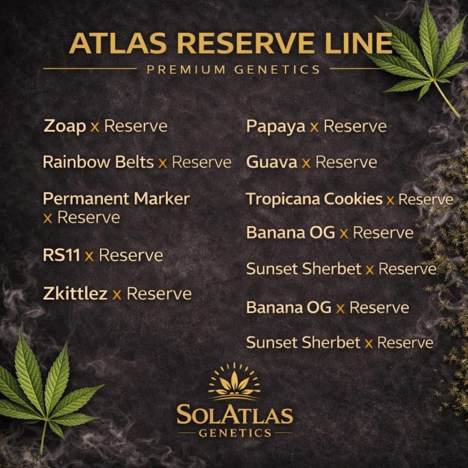 Variedades de la línea Atlas Reserve de Sol Atlas Genetics.